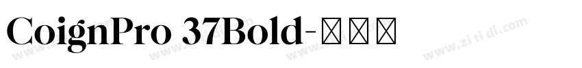 CoignPro 37Bold字体转换 CoignPro 37Bold字体转换